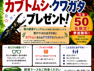 オオクワガタ配布